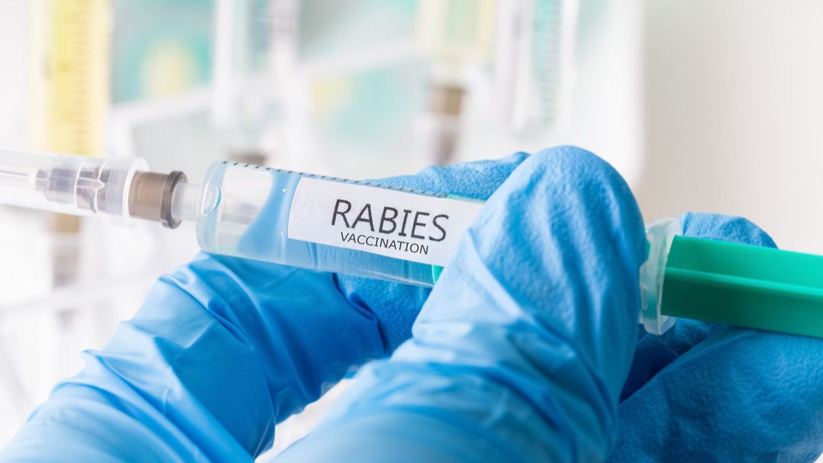 Stok Vaksin Rabies di Pesbar Dipastikan Aman