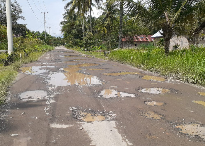 Usulan Camat BNS Soal Perbaikan Jalan ke Provinsi Direspon, UPTD PJJ akan Lakukan Penanganan Fungsional