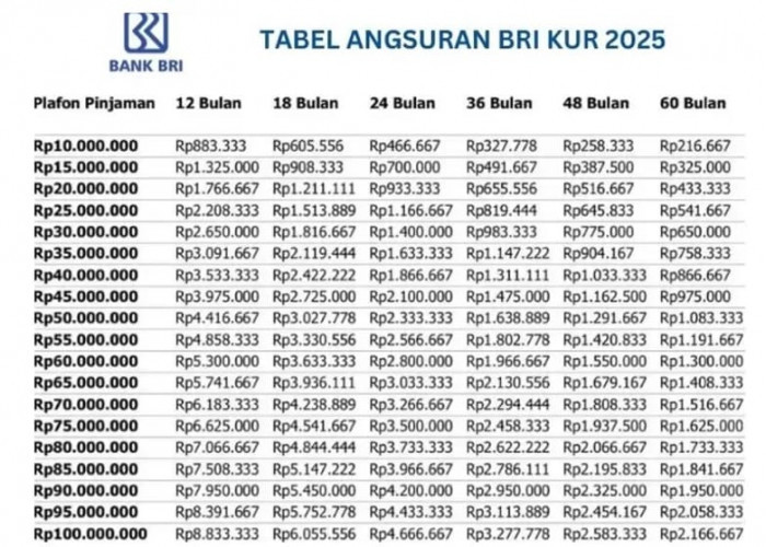 Aturan Lengkap dan Syarat Terbaru Pengajuan KUR BRI 2025 bagi Pelaku UMKM