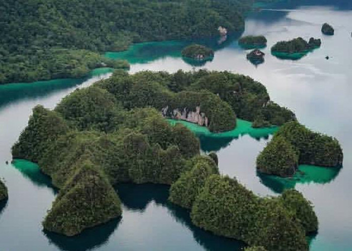 Teluk Triton, Surga Laut Biru di Ujung Papua