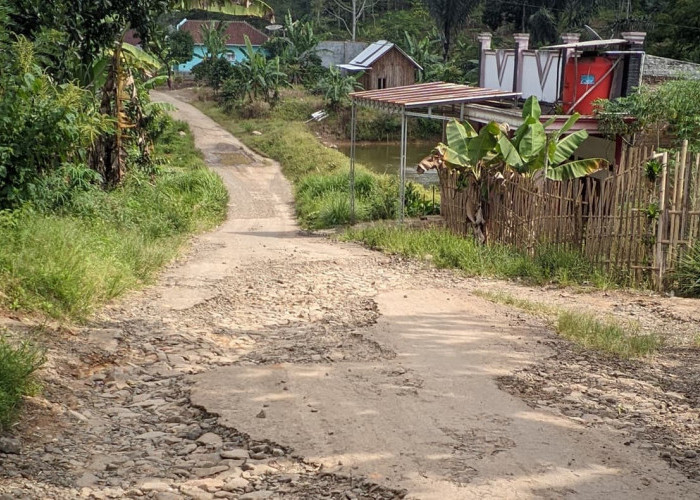 Sekian Tahun Tak Dilirik Pemerintah, Warga Minta Jalan Penghubung Way Petai-Pagar Dewa Diperbaiki