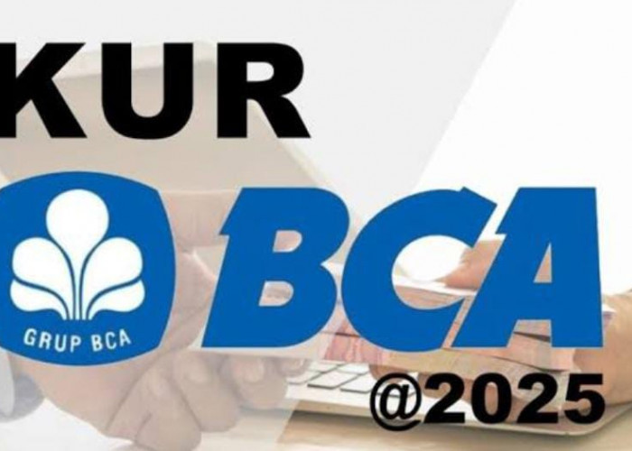 KUR BCA 2025 Pinjaman untuk UMKM dengan Angsuran Mulai Rp 19 Jutaan per Bulan
