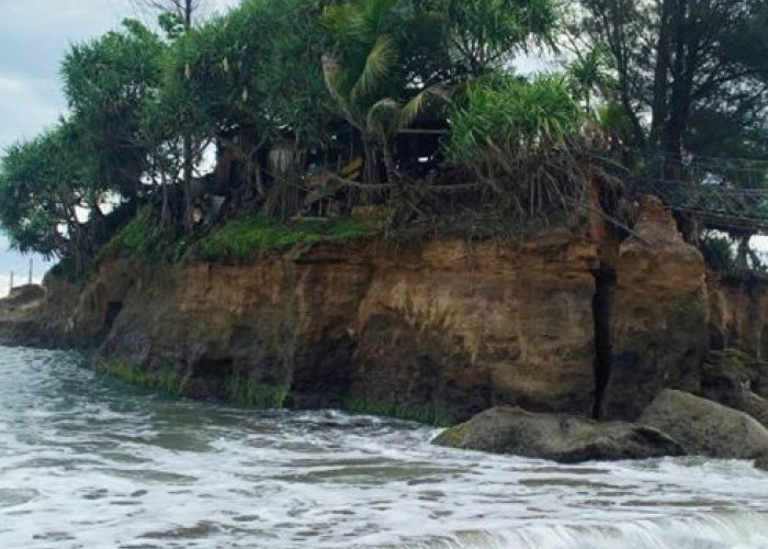 Pantai Sungai Suci Bengkulu, Surga Tersembunyi dengan Jembatan Gantung Memikat