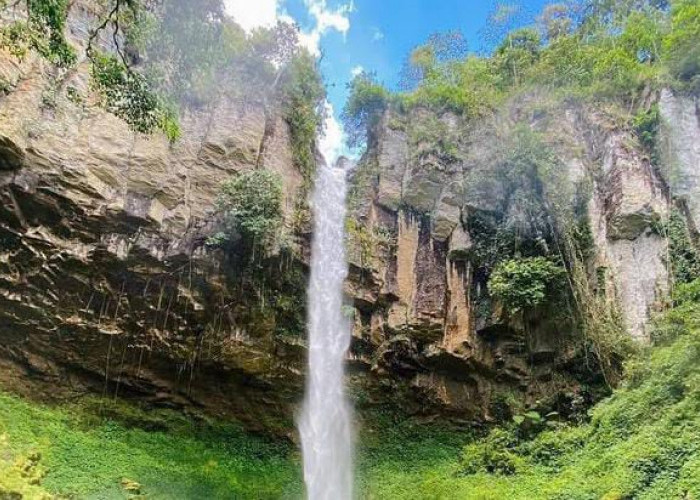Curup Putri Malu, Oase Alami di Way Kanan yang Menawarkan Keindahan Hutan Tropis