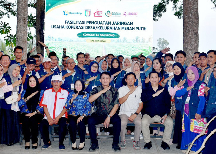 Kemenkop Perkuat Jaringan Koperasi Singkong dan MOCAF di Kabupaten Pringsewu