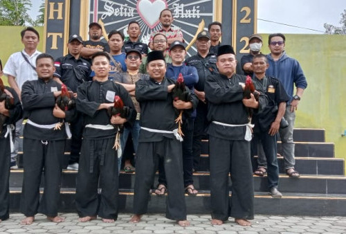 591 Calon Warga PSHT di Lampung Barat Jalani Tes Ayam Jago