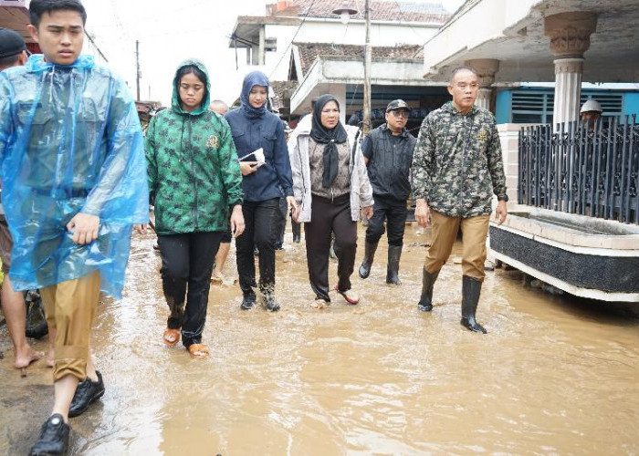 Wali Kota Bandar Lampung Tinjau Lokasi Banjir dan Salurkan Bantuan