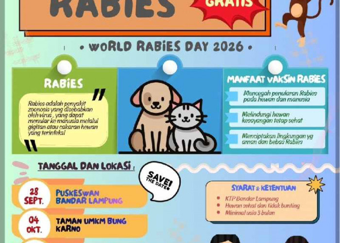 Cegah Penularan Rabies, Pemkot Bandar Lampung Gelar Vaksinasi Hewan Gratis 