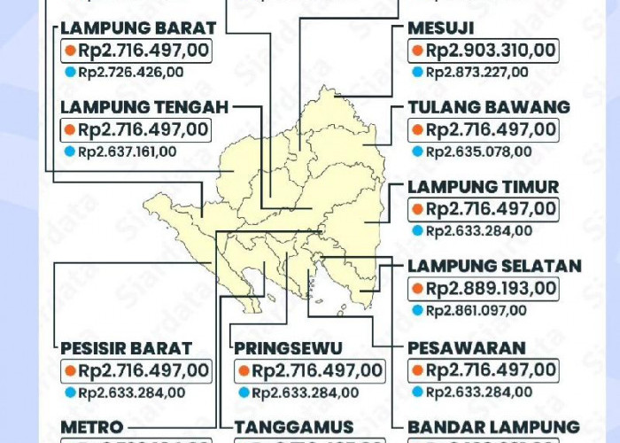 Berikut Penetapan Kenaikan UMP dan UMK di Lampung Tahun 2024