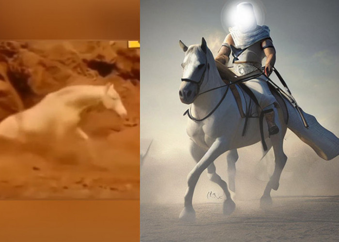 Viral! Kuda Putih Imam Mahdi Muncul dari Dalam Tanah Merah