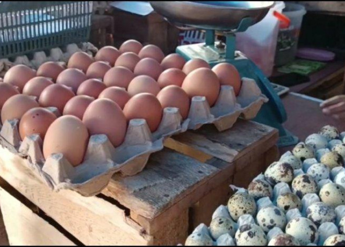 H-7 Lebaran, Harga Telur Ayam Mulai Naik