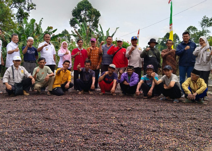 Diskusi Terkait Target Produksi 8 Ton Per Hektar, Disbunnak Lampung Barat Sambangi Petani Kopi di Kebun Tebu