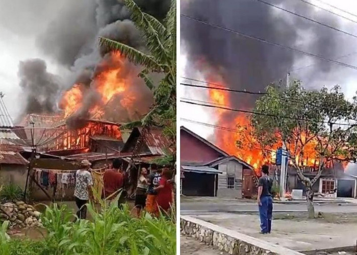 BREAKING NEWS! Kebakaran Hanguskan Rumah Warga Canggu, 2 Unit Damkar Dikerahkan 