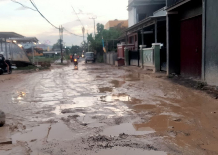 Warga Sukarame Desak Dinas PU Kota Bandar Lampung Segera Perbaiki Jalan Rusak di Haji Madang