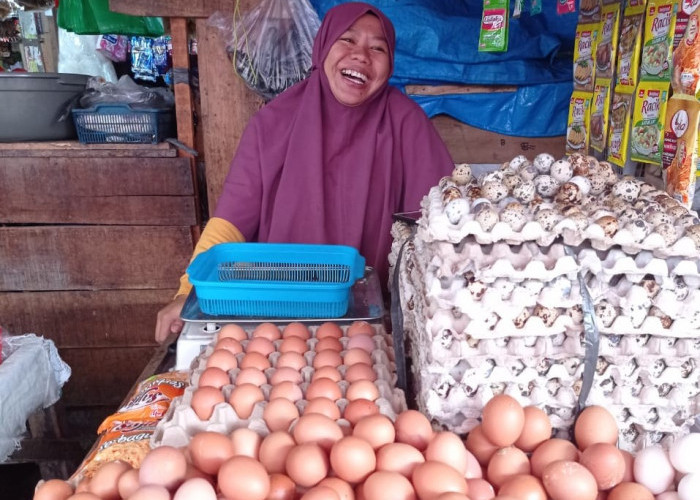 Harga Telur Ayam di Pasaran Tembus Rp 33 Ribu per Kilogram