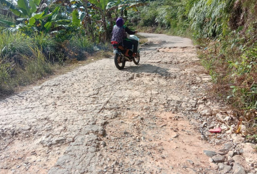 Jalan Penghubung Kecamatan Pagardewa Banyak Rusak Warga Harapkan Perhatian 