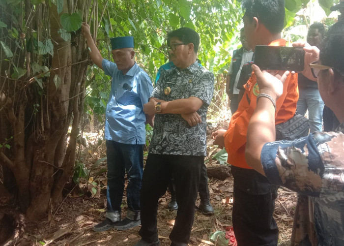 Bupati Lampung Utara Tinjau Lokasi Pencarian Warga Hilang di Sungai Way Sesah