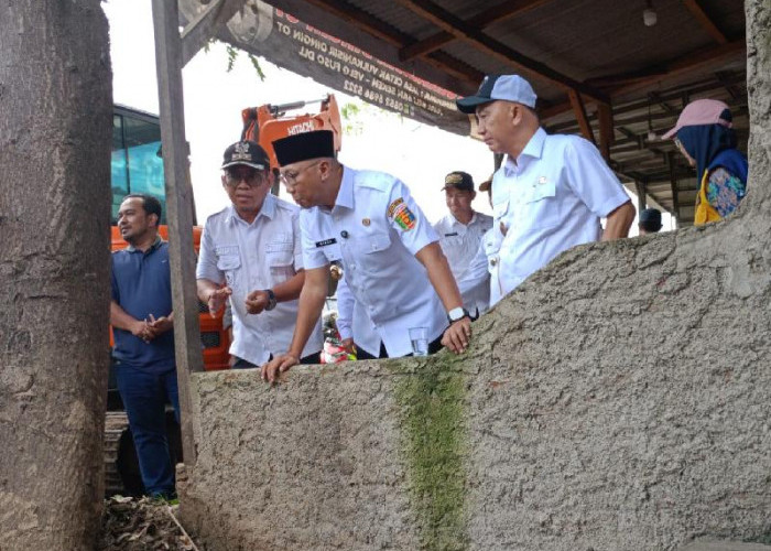 Gubernur Mirza Tinjau Drainase di Panjang, Soroti Penyebab Banjir dan Bangunan Liar