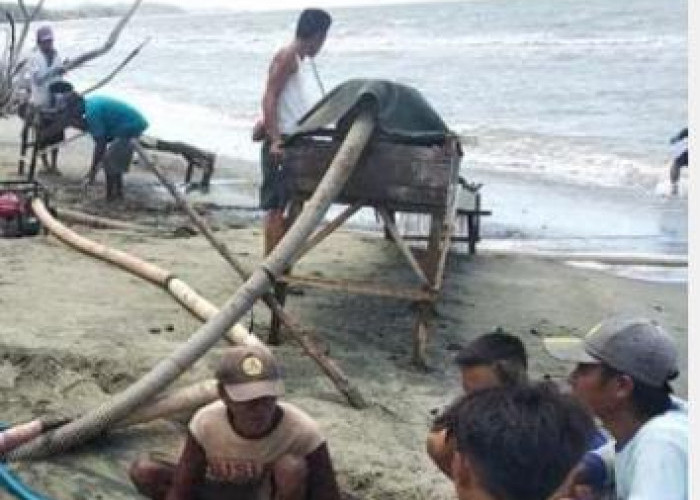Viral! Warga Gorontalo Beramai-ramai Berburu Butiran Emas di Pantai 