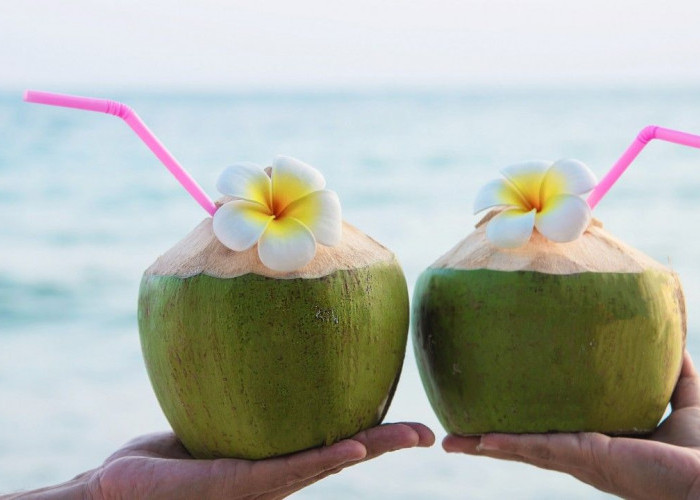 Jangan Salah Sangka, Ini Manfaat Dugan yang Jarang Diketahui