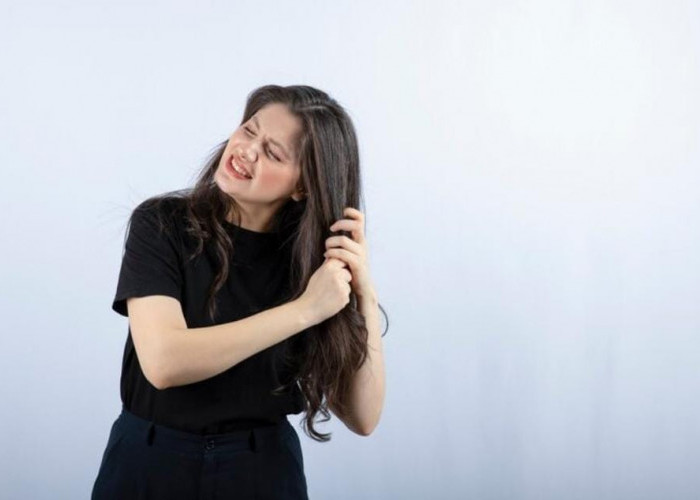 Rahasia Rambut Lembut dan Jatuh Alami, Panduan Lengkap Perawatan dari Akar hingga Ujung