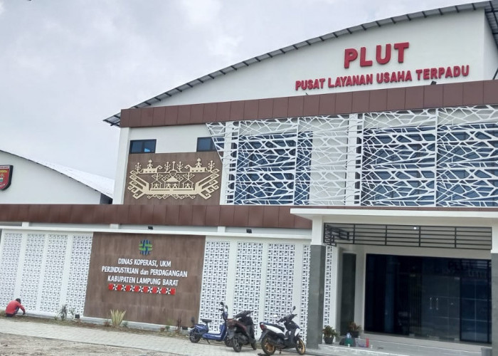 Pemkab Lampung Barat Rekrut Konsultan PLUT KUMKM untuk 6 Jabatan, Berikut Syarat Bagi Pelamar