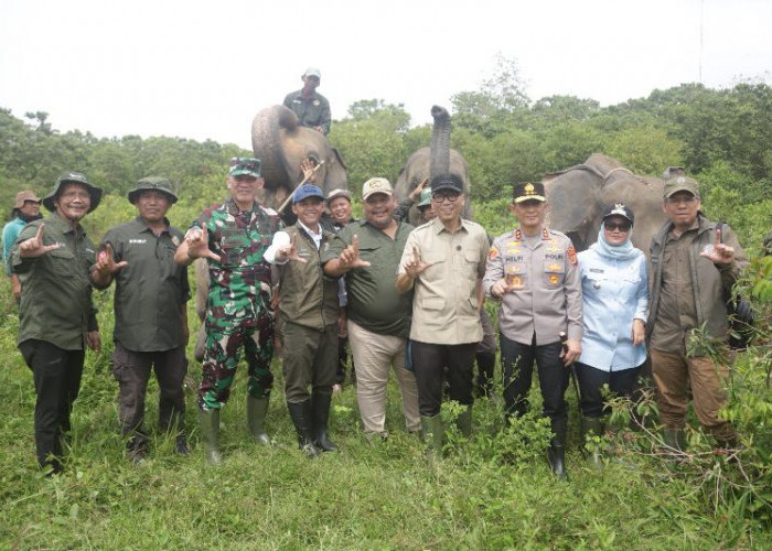 Dari 11 Km Jadi 138 Km, Solusi Besar Atasi Konflik di Way Kambas