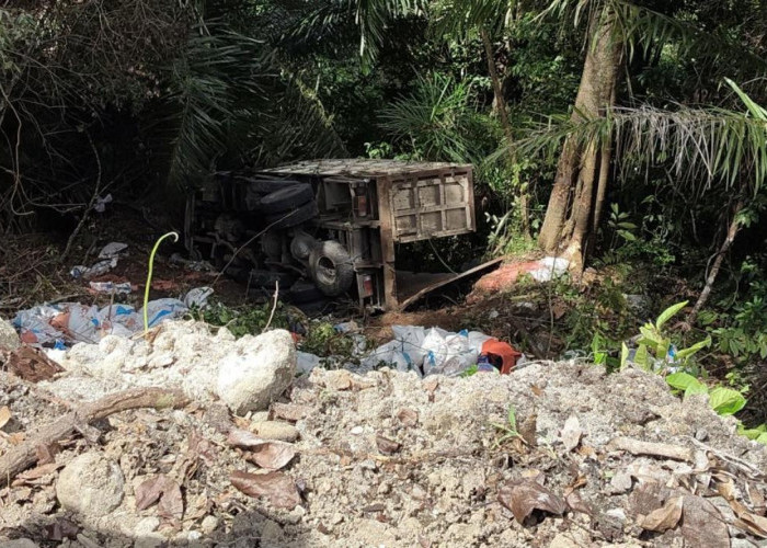 Truk Bermuatan Pupuk Masuk Jurang di Jalinsum TNBBS, Sopir Alami Luka Ringan