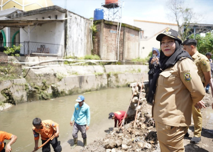 Wali Kota Bandar Lampung Tinjau Drainase Tanjung Senang, Pastikan Aliran Air Tetap Lancar