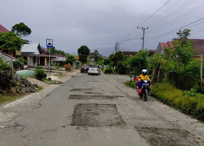 Ruas Liwa–Ranau Dirawat Intensif, UPTD Fokus Perbaikan Jalan dan Drainase