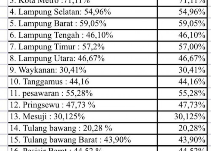 Ketimpangan Jalan di Lampung Kian Menganga, Kabupaten Tertinggal di Tengah Kemajuan Provinsi