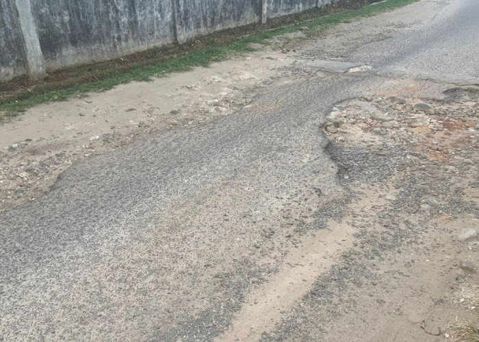 Akses Jalan ke UNILA Rusak Parah, Warga-Mahasiswa Minta Perbaikan Segera