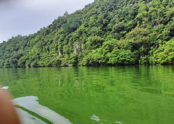 Air Danau Ranau Keruh, Petani KJA di Lumbok Seminung Mulai Was-was 