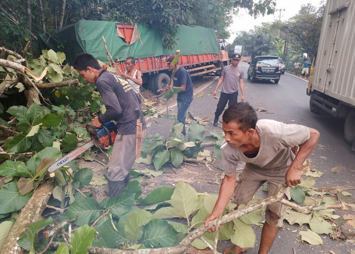 Dibantu Warga, Polisi Evakuasi Pohon Tumbang di Jalintengsum