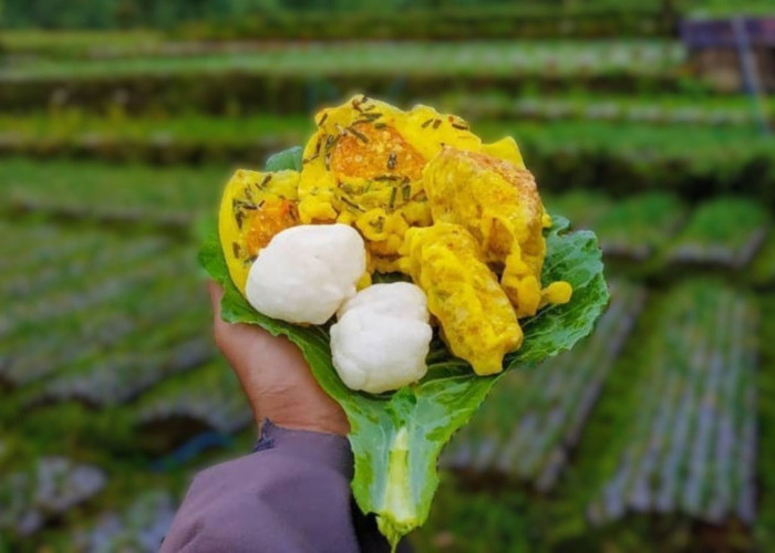 Tempe Kemul: Camilan Renyah Khas Wonosobo yang Bikin Nagih