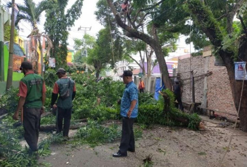 Lurah Rawalaut Kerahkan Petugas Lakukan Perapihan Lingkungan
