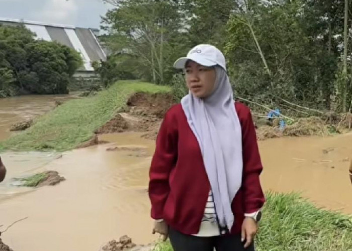 Banjir Akibat Tanggul Jebol di Kertosari, DPRD Lampung Minta BBWS Percepat Penanganan