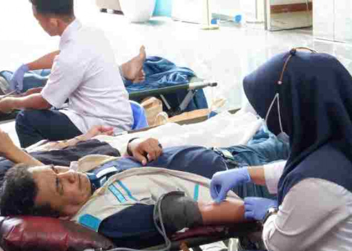 PLN UID Lampung Perkuat Semangat Gotong Royong Lewat Donor Darah