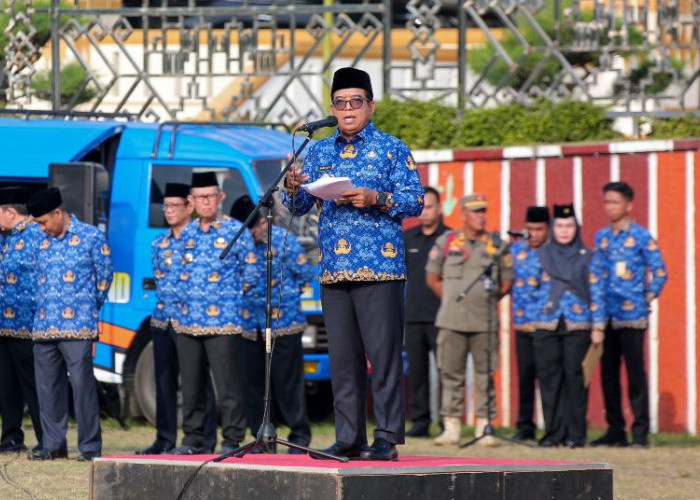 70.517Ekor Sapi Lahir Lewat Program Sikomandan,Pj Gubernur Samsudin:Penting Perilaku Kerja Prestatif ASN