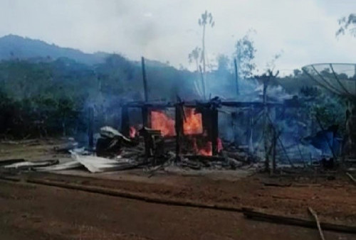 Sebuah Gubuk di Pekon Bahway Terbakar, Satu Ton Lebih Kopi Hasil Panen Ludes