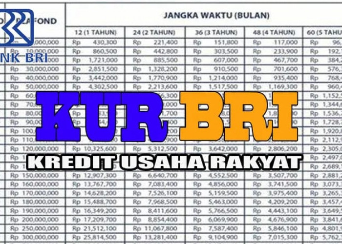 Cara Daftar KUR BRI 2025 Online, UMKM Bisa Dapat Modal Hingga Rp200 Juta