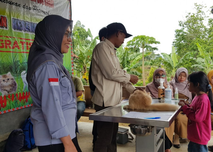 Masyarakat Antusias Ikuti Pelayanan Kesehatan Hewan yang Digelar Disbunnak Lampung Barat