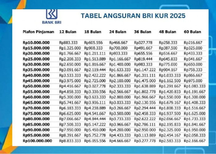 Butuh Modal Rp80 Juta? Begini Cara Ajukan Pinjaman KUR BRI 2025 dengan Angsuran Ringan