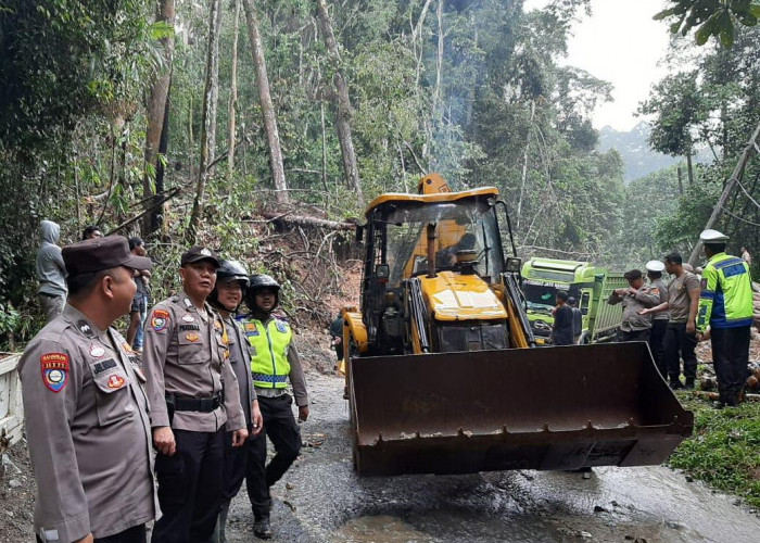 Truk Fuso Terperosok di Jalan Liwa-Krui Selesai Dievakuasi, Lalu Lintas Kembali Lancar 