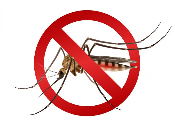 Pesbar Lulus Assessment Eliminasi Malaria