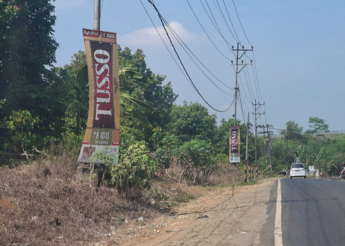 Belum Kantongi Izin, Bapenda Lampung Utara Copot Banner Iklan Rokok TUSSO