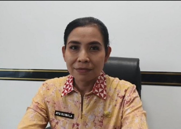 25 Merek Beras Jadi Sorotan, Pemkot Bandar Lampung Belum Cabut Izin Peredaran