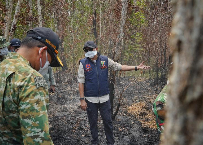 Gubernur Mirza Tinjau Karhutla Way Kambas, Kesehatan Warga Terdampak Asap Jadi Prioritas