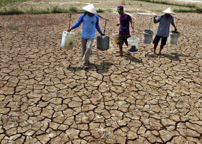 Diperkirakan Agustus El Nino Landa Indonesia, Bakal Berdampak Terhadap Harga Sembako