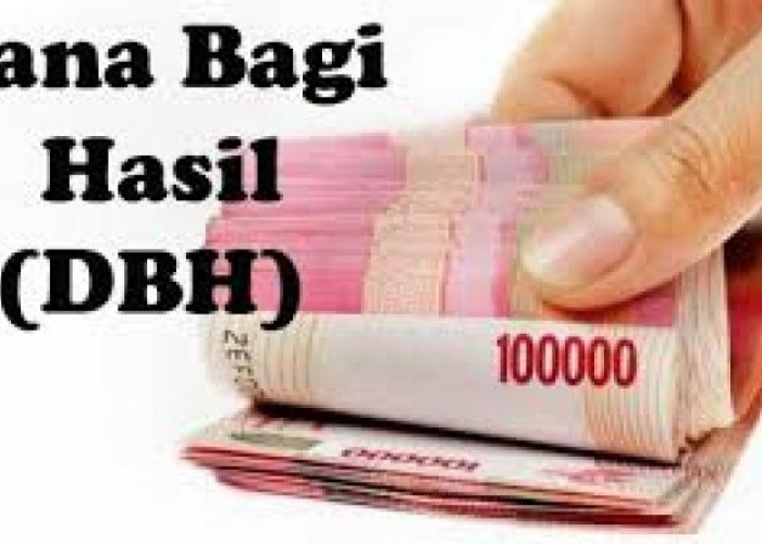DBH Pajak Provinsi di Lampung Barat Terealisasi Rp53,884 Miliar